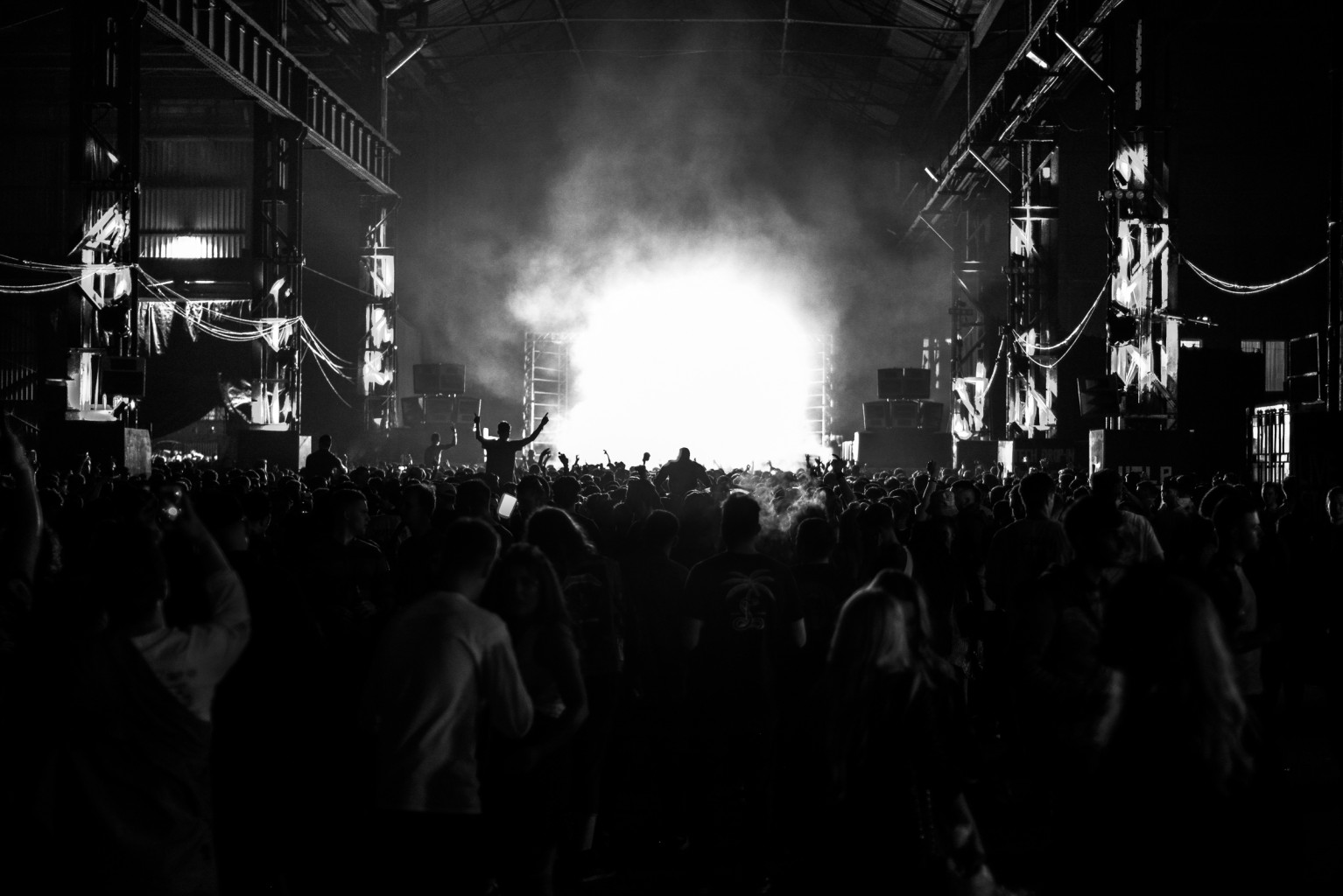 AVA Festival 2018 Crowd 